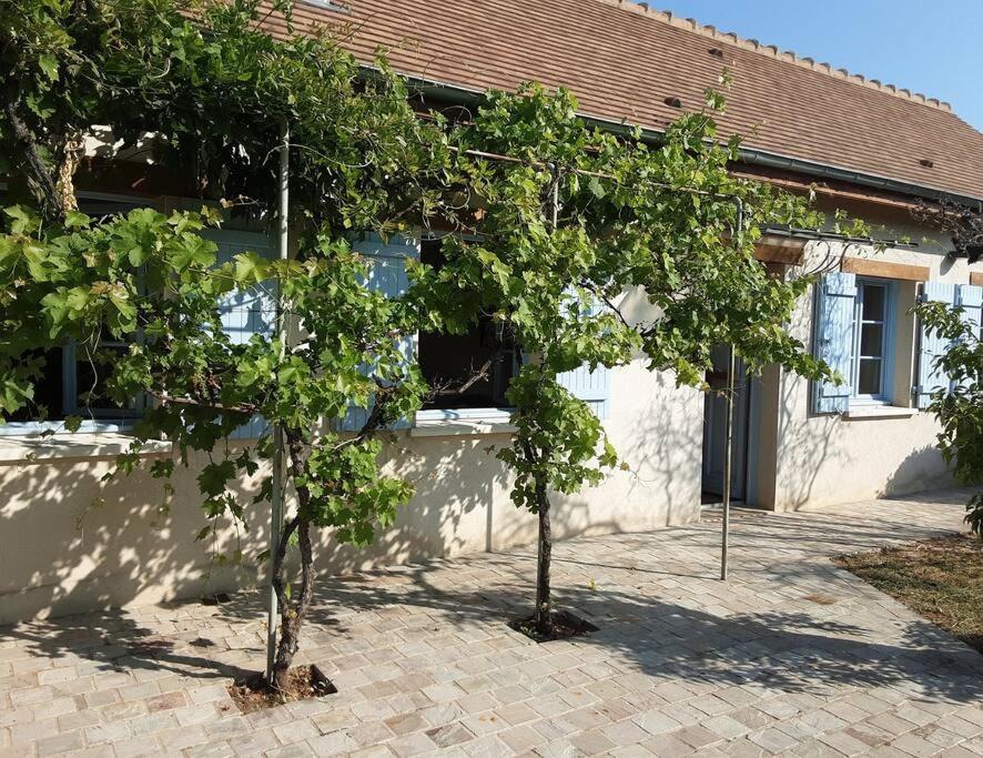 Вилла Les Annexes Verdun-sur-le-Doubs Экстерьер фото
